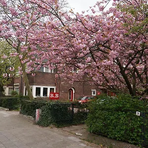 https://xavieras-bed-and-breakfast.ihotelsrotterdam.com